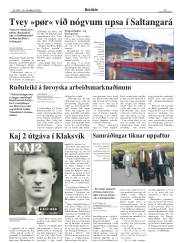 Síða 13