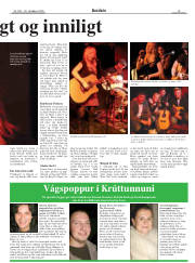 Síða 15