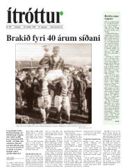 Síða 17