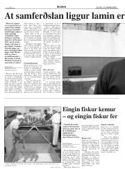 Síða 8