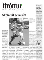 Síða 25