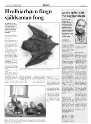 Síða 9
