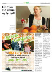 Síða 28