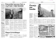 Síða 3