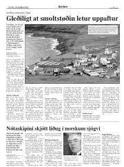 Síða 9