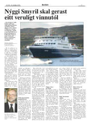 Síða 17