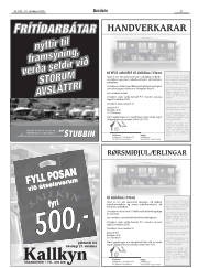 Síða 29