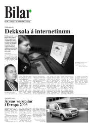 Síða 33