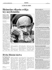 Síða 25