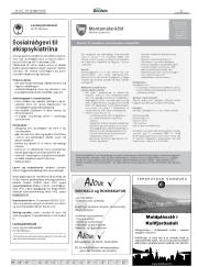 Síða 41