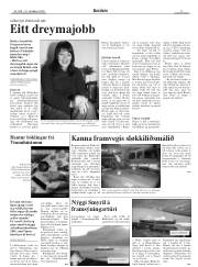 Síða 11