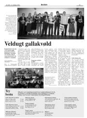 Síða 25