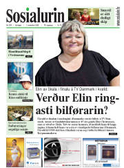 Síða 1