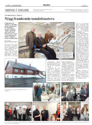 Síða 13