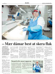 Síða 2