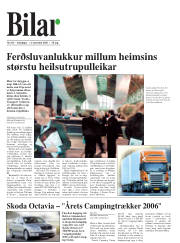 Síða 18