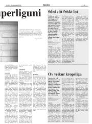 Síða 23