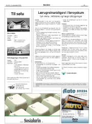 Síða 25