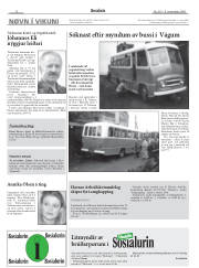 Síða 8