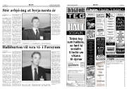Síða 6