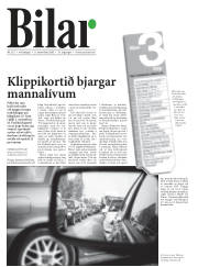 Síða 26