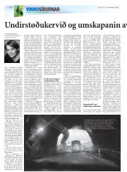 Síða 30