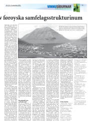 Síða 31