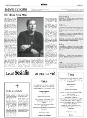 Síða 13