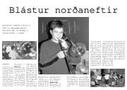 Síða 8