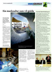 Síða 17