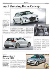 Síða 19