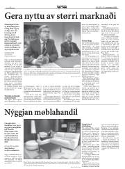 Síða 6
