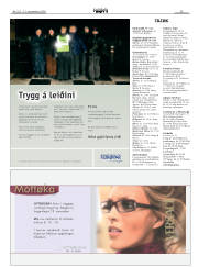 Síða 29