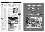 Síða 12