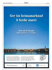 Síða 3