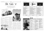 Síða 9