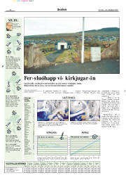 Síða 19