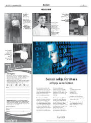 Síða 33
