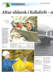 Síða 20