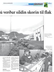 Síða 21