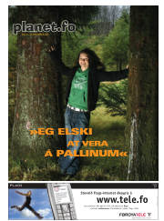 Síða 17