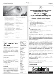 Síða 29