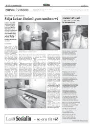 Síða 17