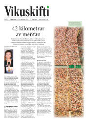 Síða 25