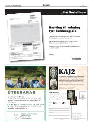 Síða 29