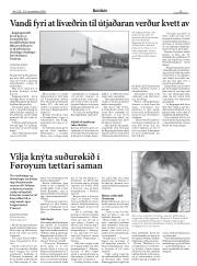 Síða 15