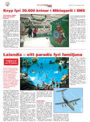 Síða 18