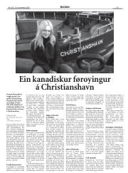 Síða 29