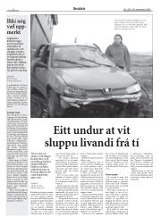 Síða 8