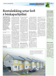 Síða 19